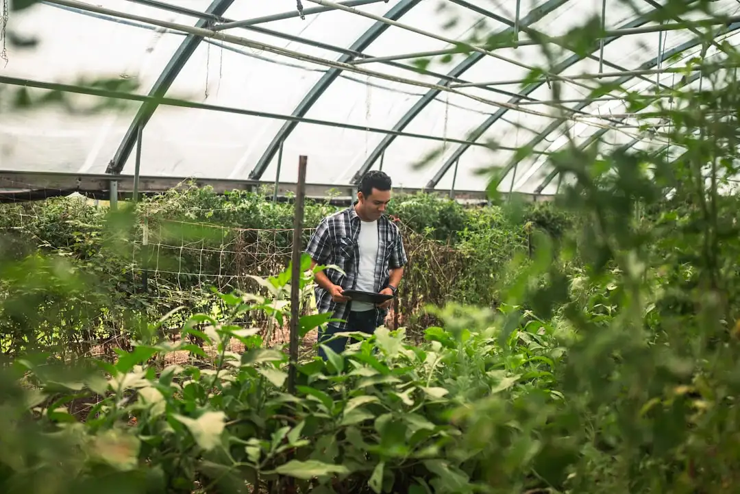 影视制作与影像创作在深圳市场的应用现状与行业观察