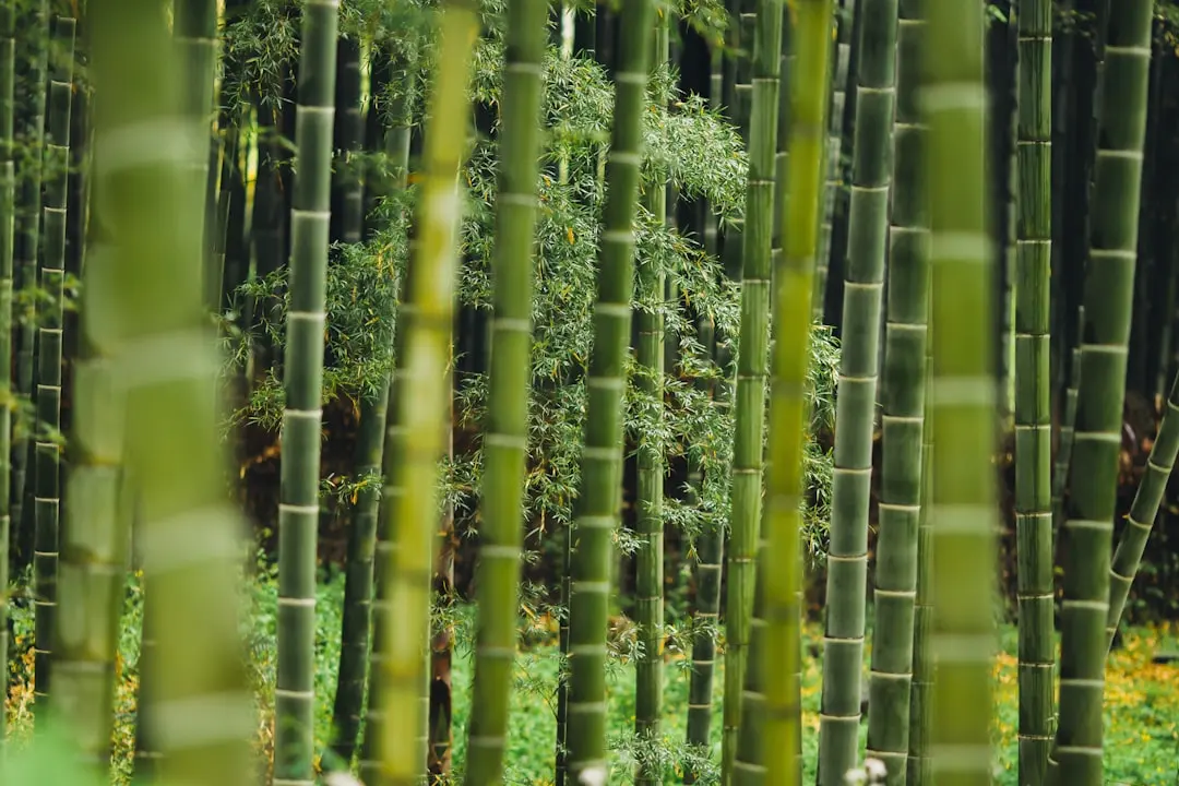 2025年深圳影视制作行业技术趋势与AI影像应用前景